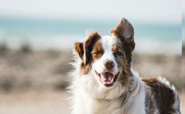 Reglo, Automating ETL process with a Simple Slack Command