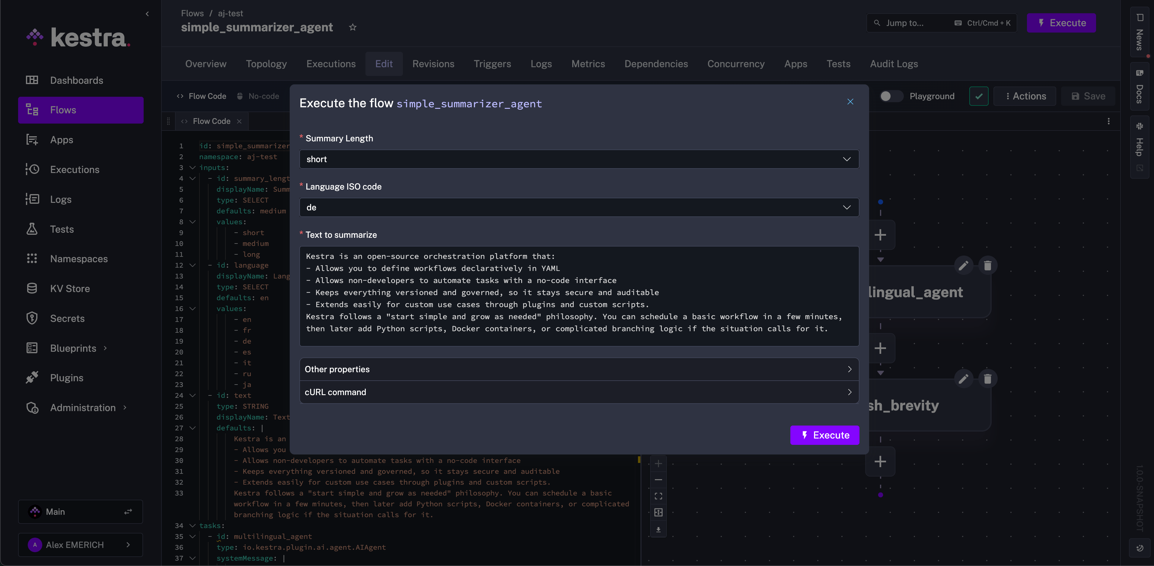 AI Agent Flow Inputs