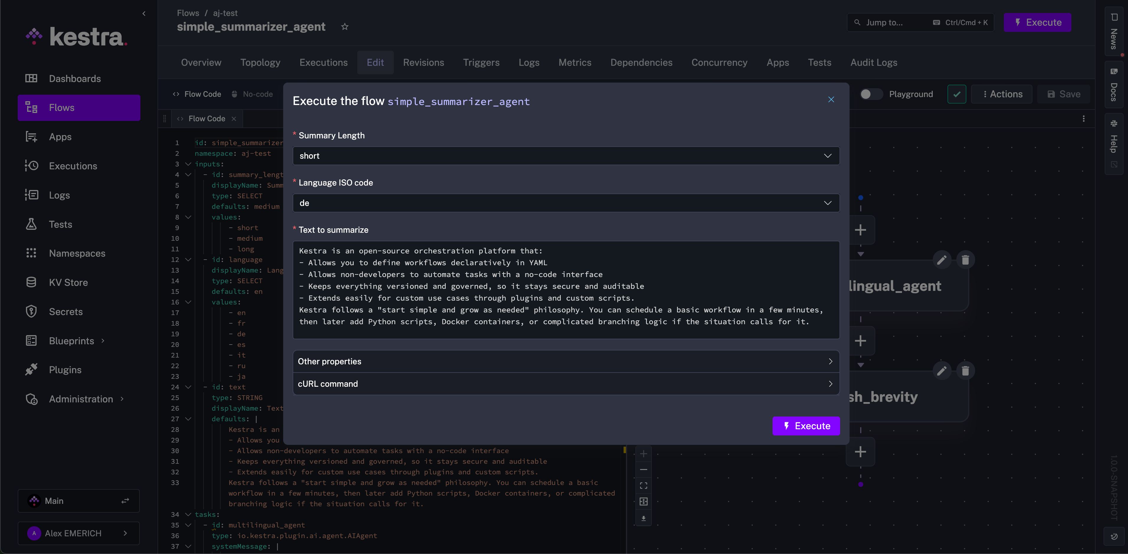 AI Agent Flow Inputs